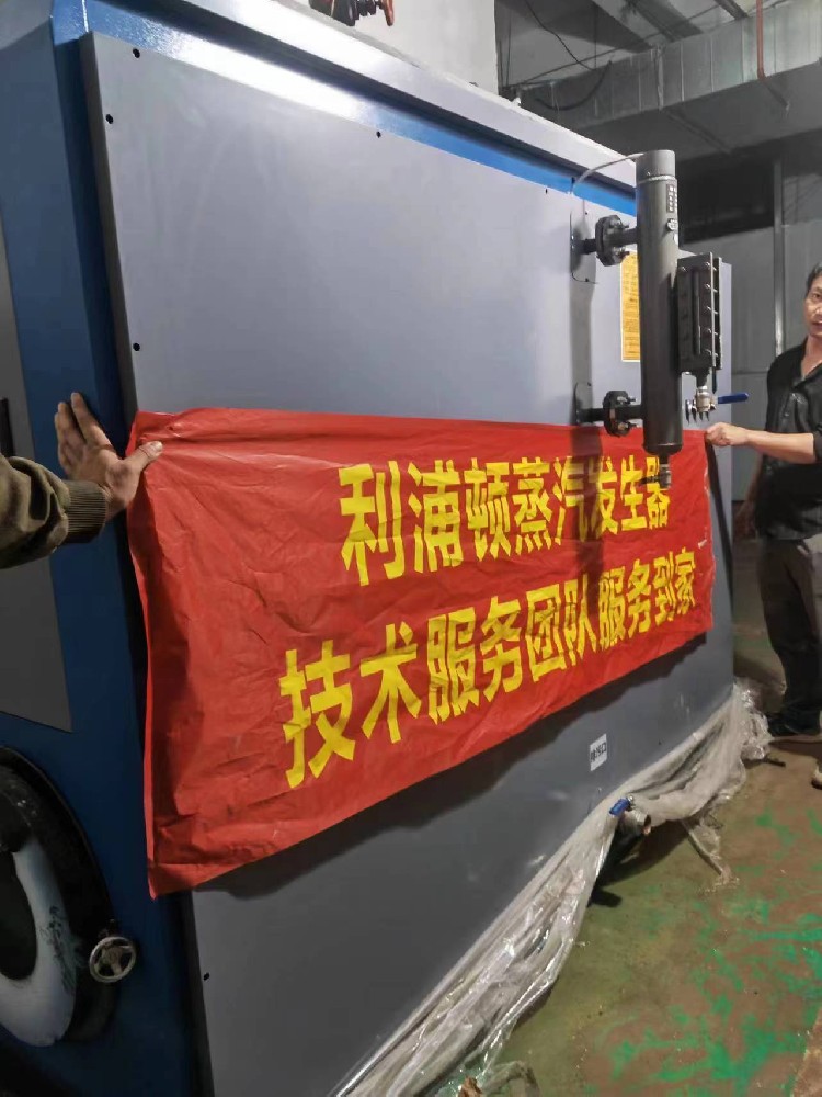 利浦頓0.5噸生物質蒸汽發生器應用于洗滌行業
