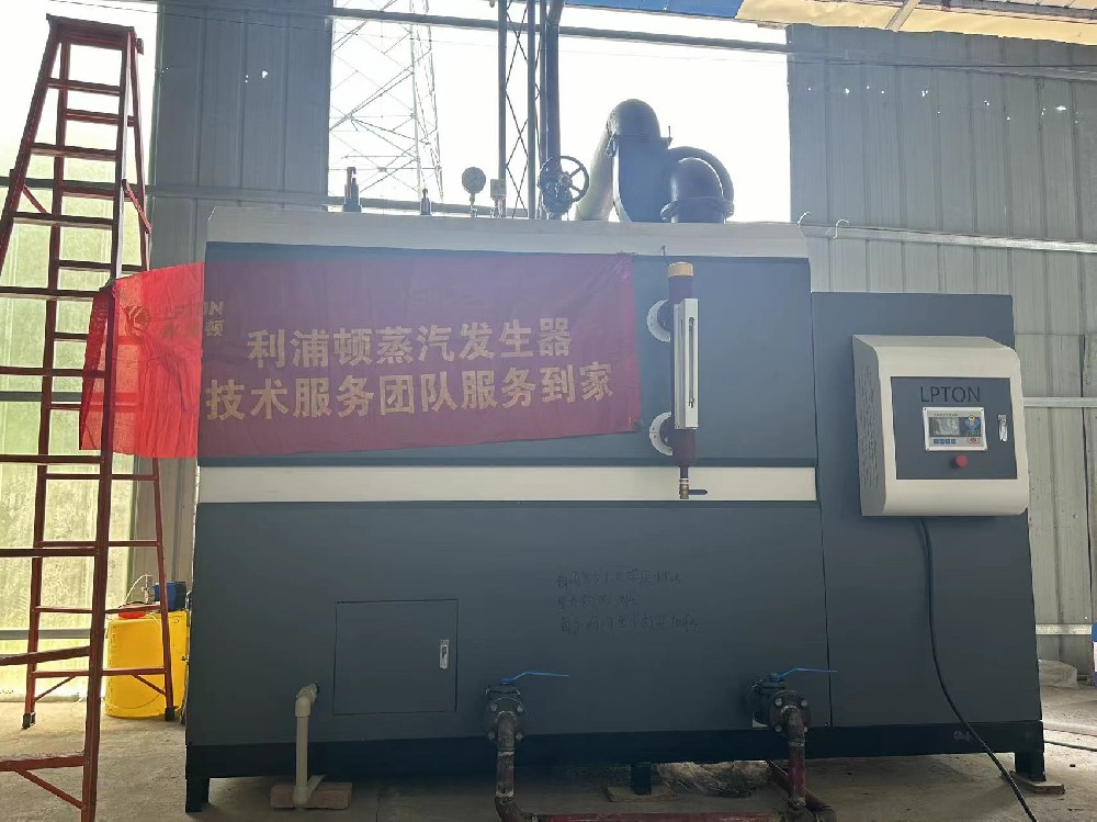 洗滌行業專用利浦頓1噸生物質蒸汽發生器