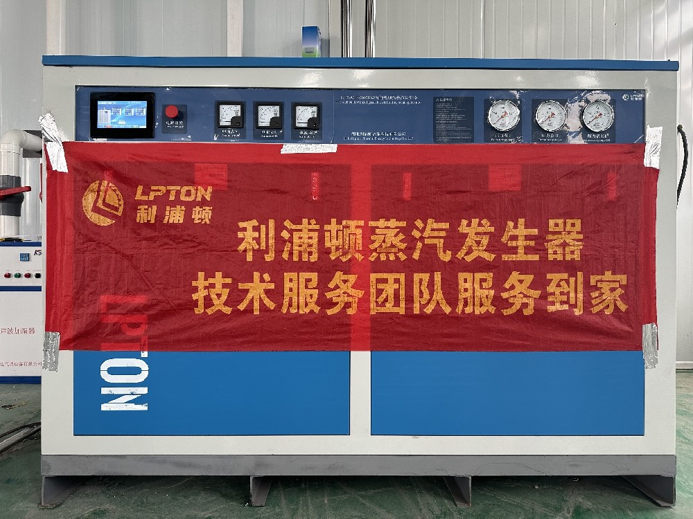 利浦頓360KW電加熱蒸汽發生器用于醫藥行業